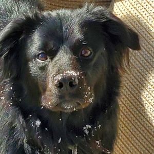 Meet your Posher, Matt